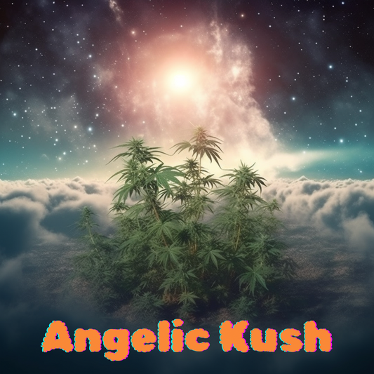 Angelic Kush - King Kut